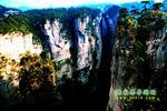 【純玩拼團(tuán)線路6】張家界、黃龍洞、天門山、天子山三晚四日游