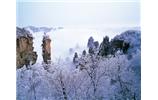 春節(jié)旅游：張家界、袁家界、天子山、寶峰湖/黃龍洞度假二晚三日游